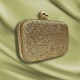 Shiny Box Evening Bag
